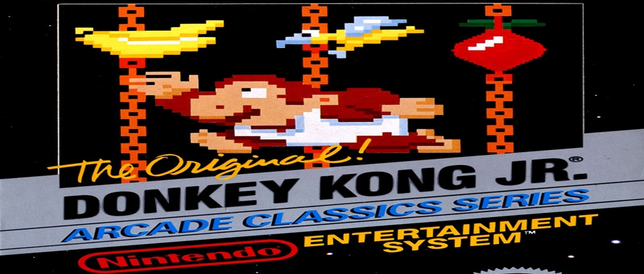 Donkey Kong Jr