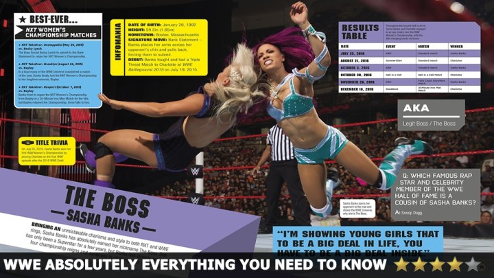 WWE Everything You Need To Know Review
